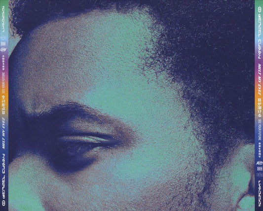 Melt My Eyez See Your Future cover art