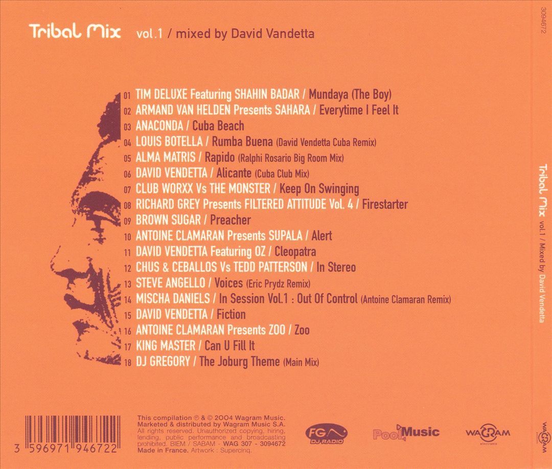 Tribal Mix, Vol. 1: Mixed by David Vendetta cover art