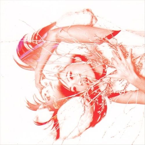 Citrus cover art