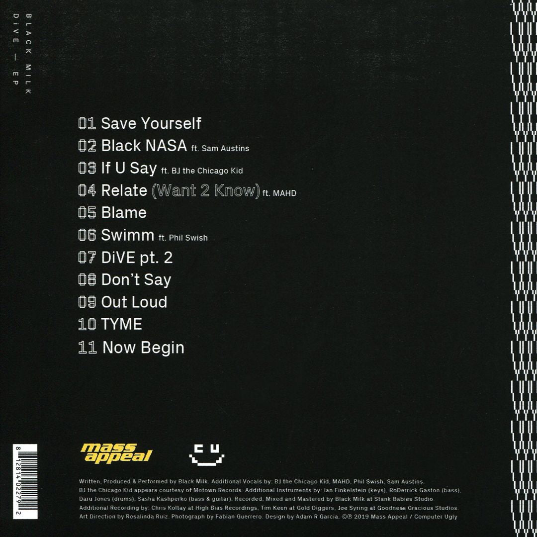 DiVE cover art