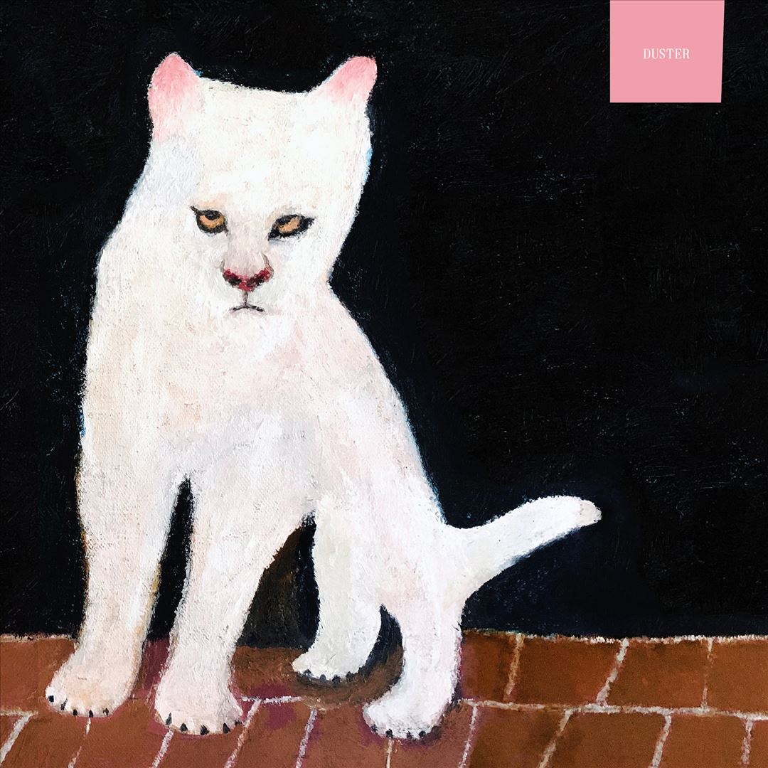 Duster cover art