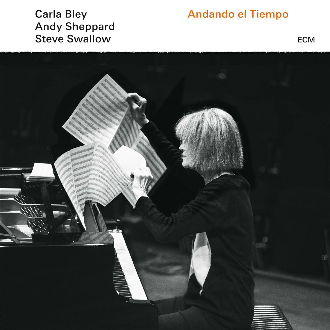 Andando el Tiempo cover art