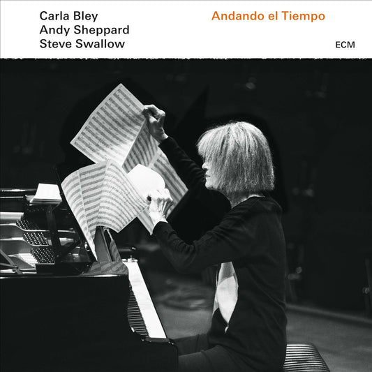 Andando el Tiempo cover art