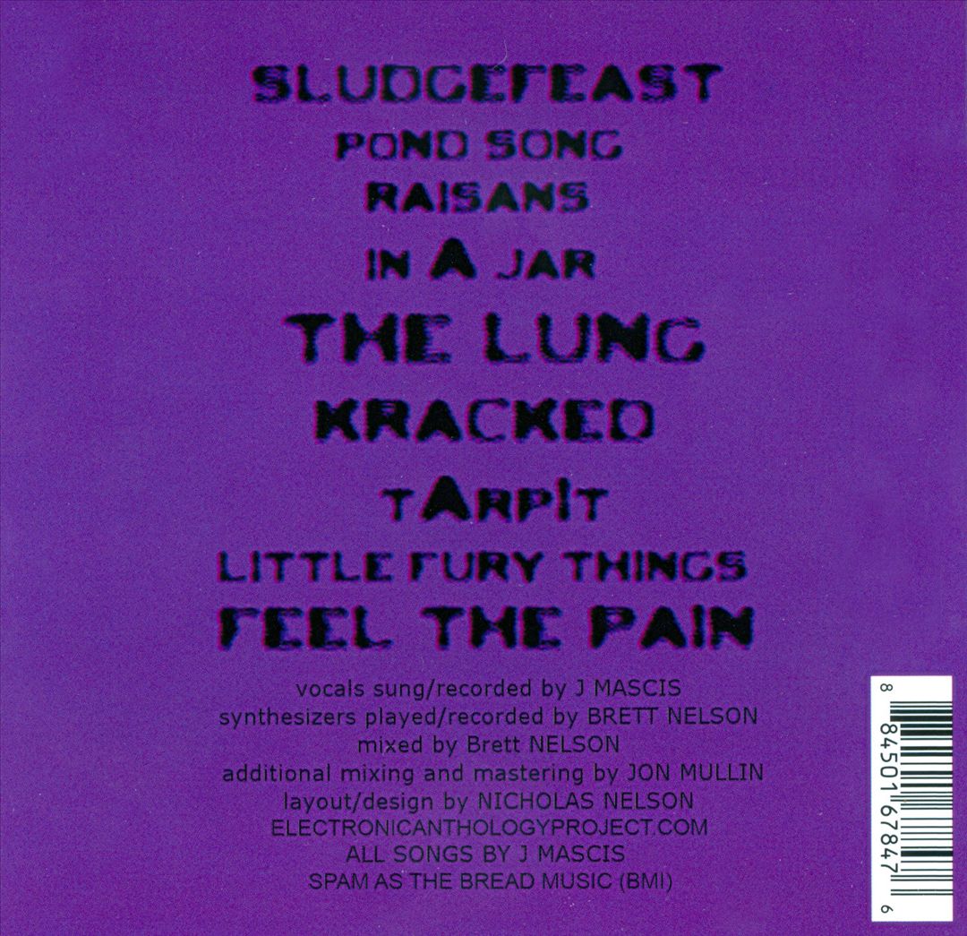 The Electronic Anthology Project of Dinosaur Jr. [Indy Only] cover art