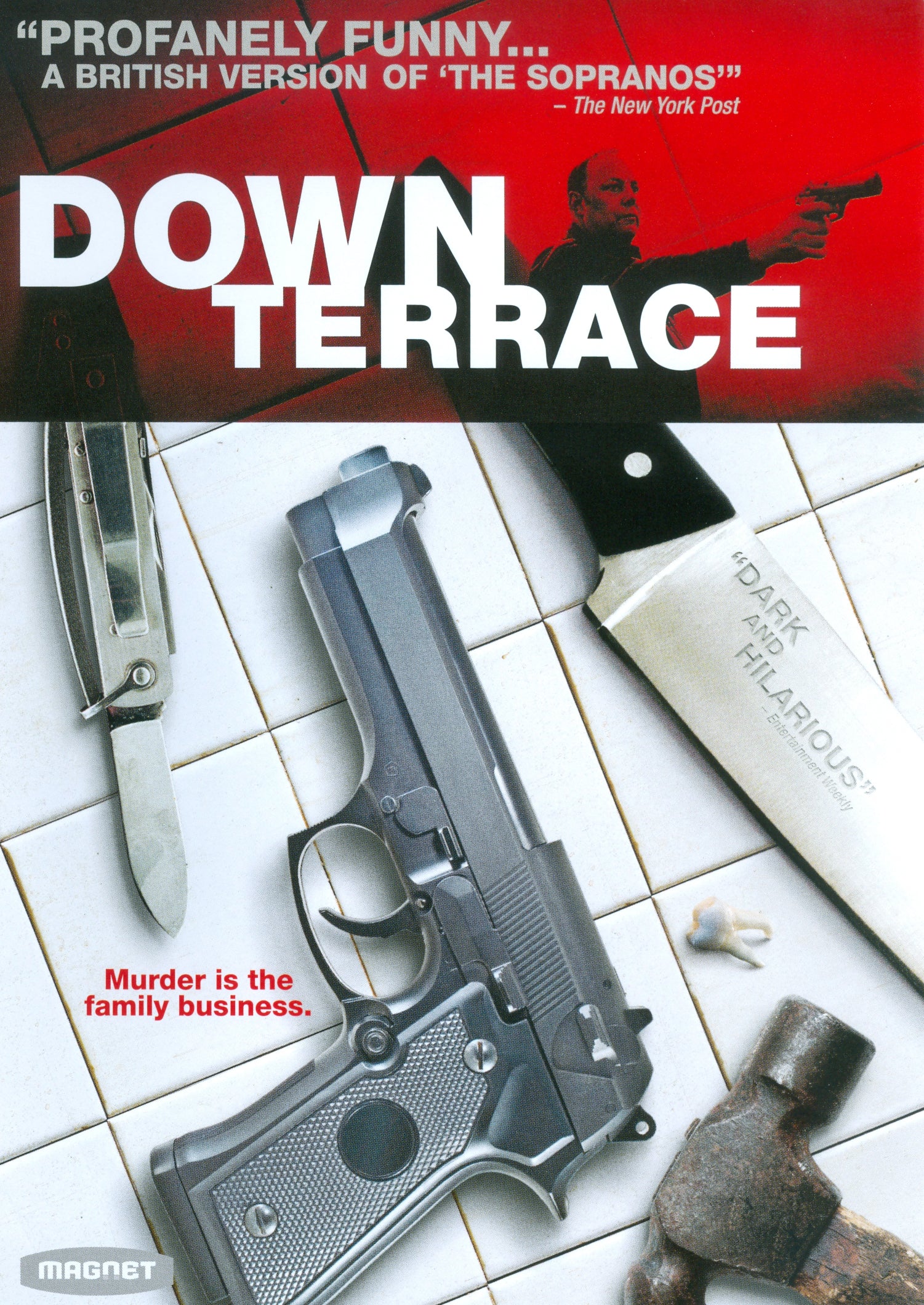 Down Terrace cover art