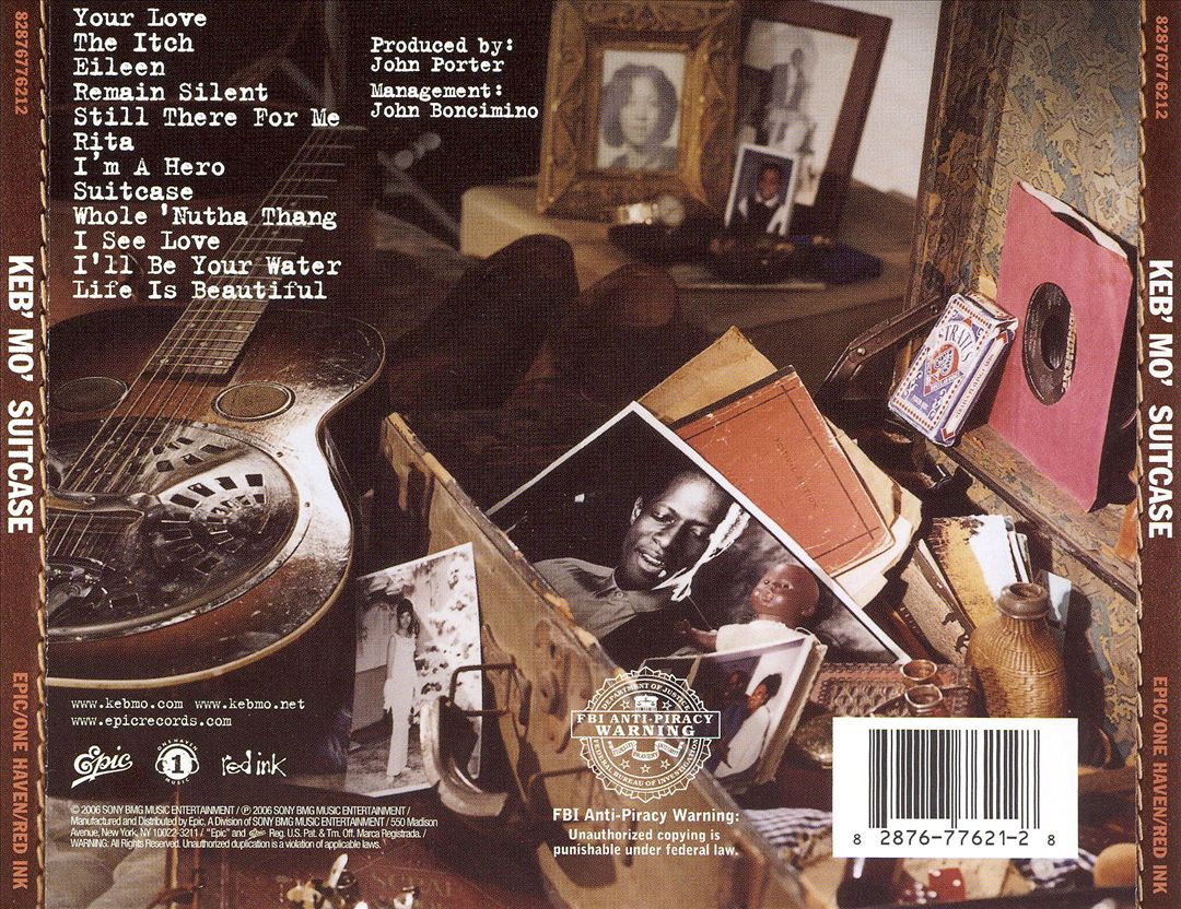 Suitcase cover art