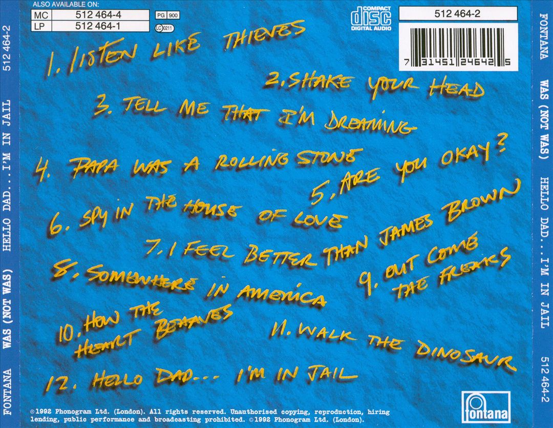 Hello Dad...I'm in Jail cover art