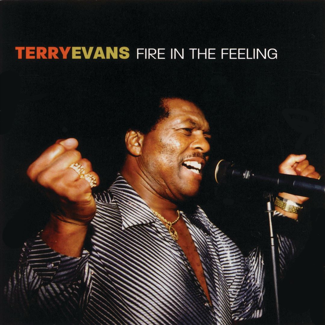 Fire in the Feeling cover art