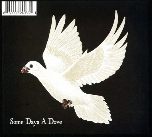 After the Fire cover art