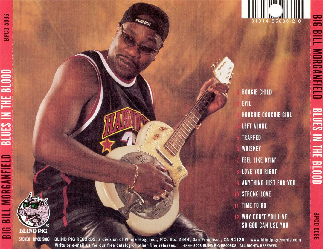 Blues in the Blood cover art