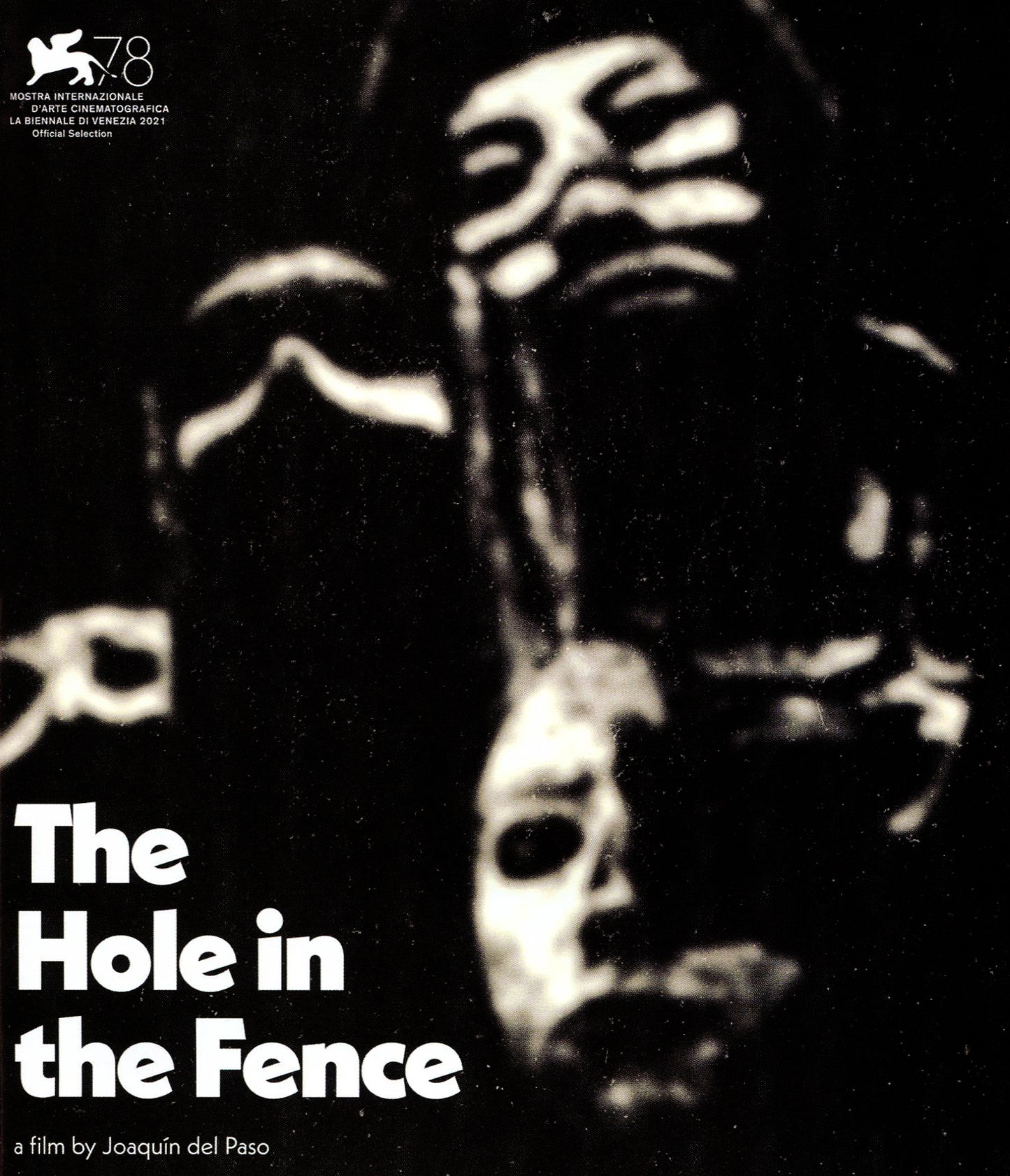 Hole in the Fence [Blu-ray] cover art