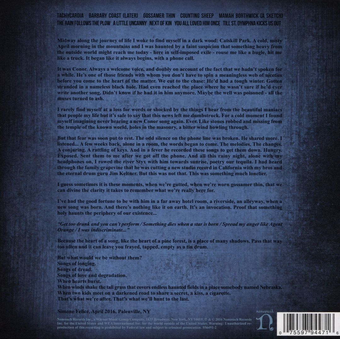 Ruminations cover art