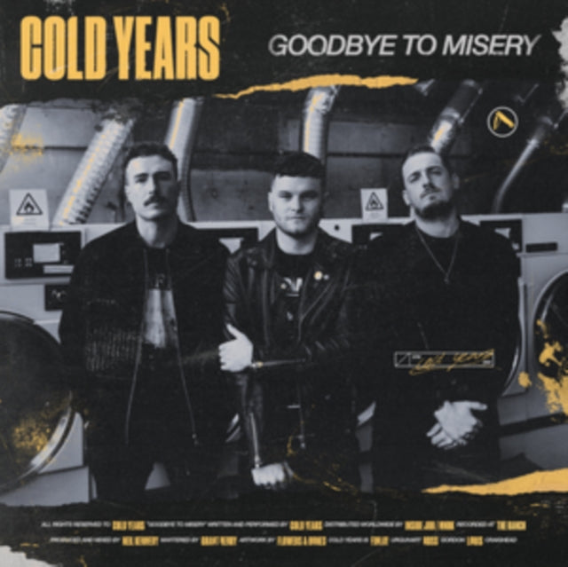 Goodbye to Misery cover art
