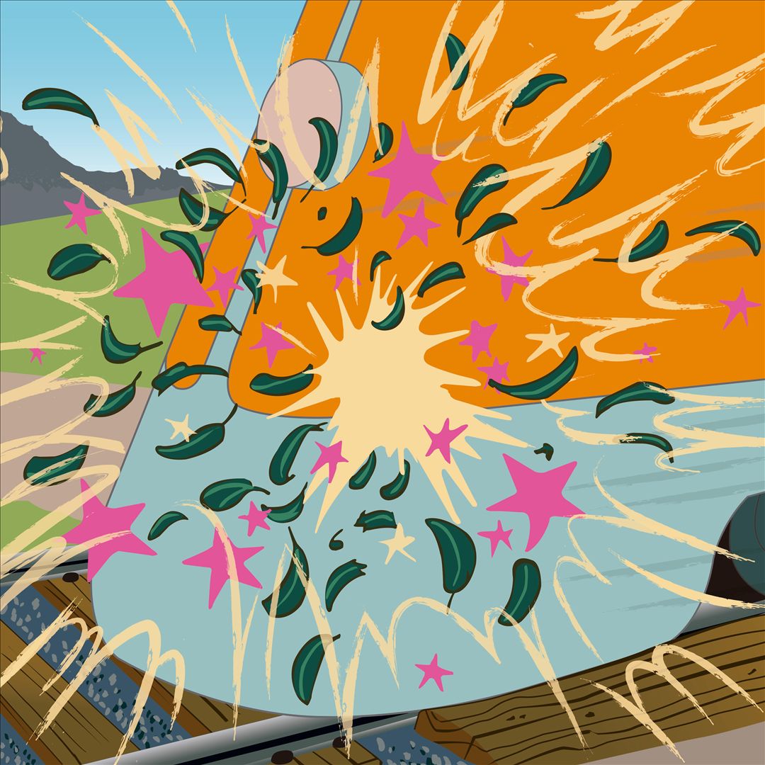 Dances/Curses cover art