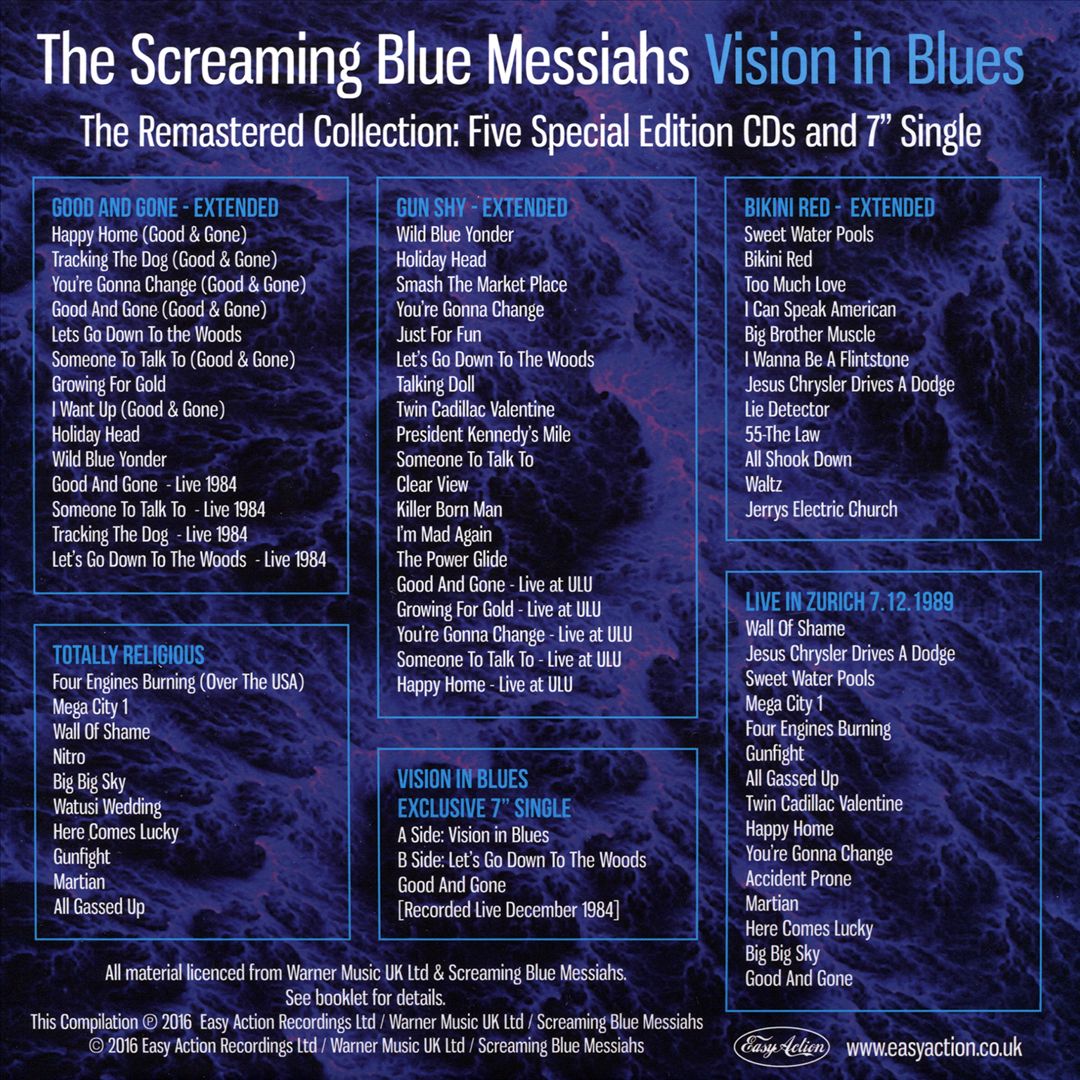 Vision in Blues cover art