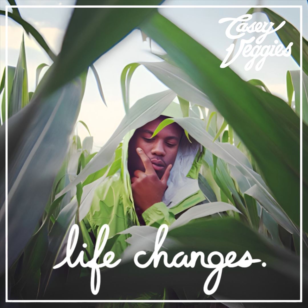 Life Changes cover art