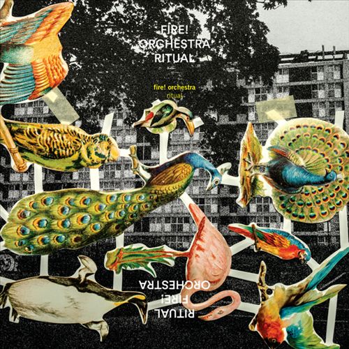 Ritual cover art