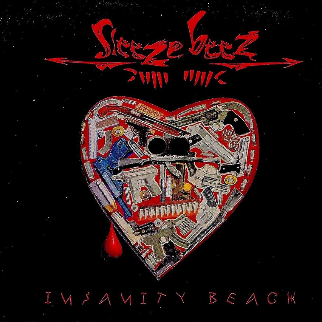 Insanity Beach cover art