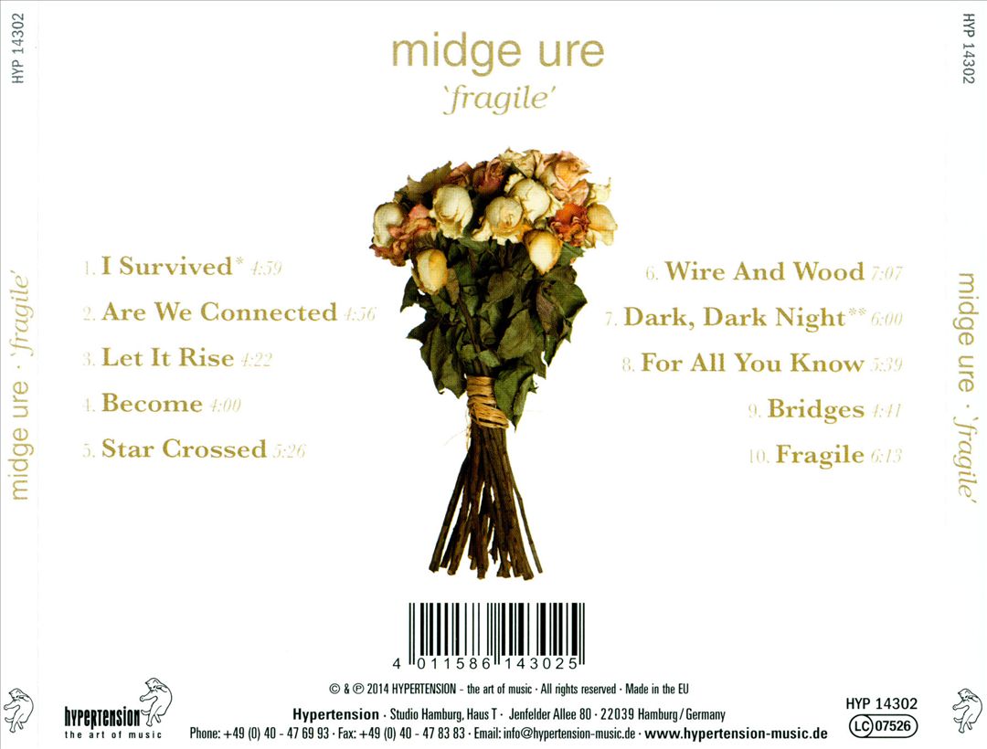 Fragile cover art