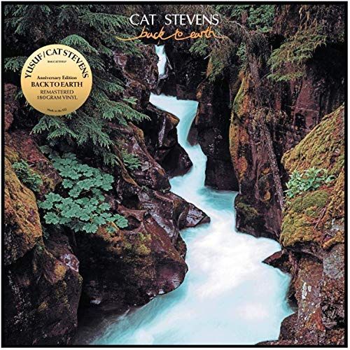 Back To Earth cover art