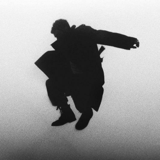 Chasing the Chimera cover art