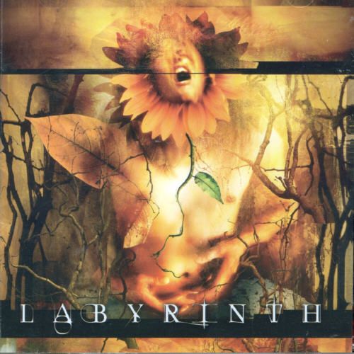 Labyrinth [Bonus Tracks] cover art