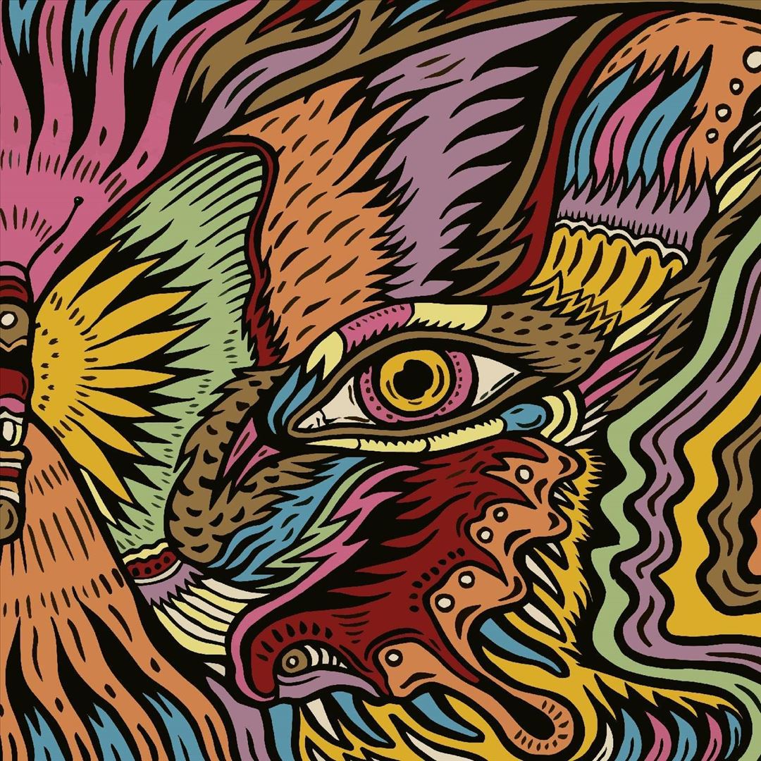 Shadow, Vol.2 cover art