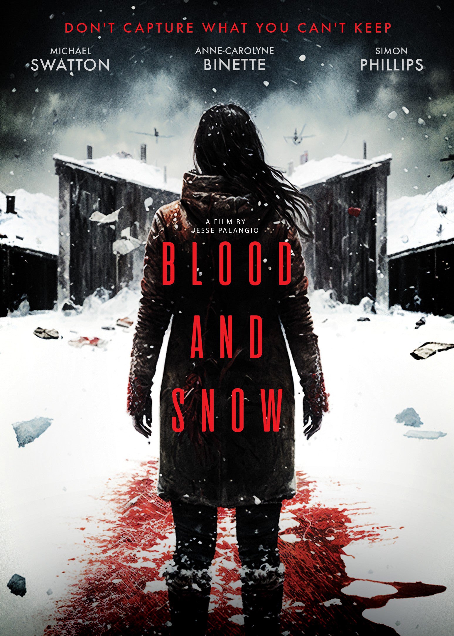 Blood and Snow cover art