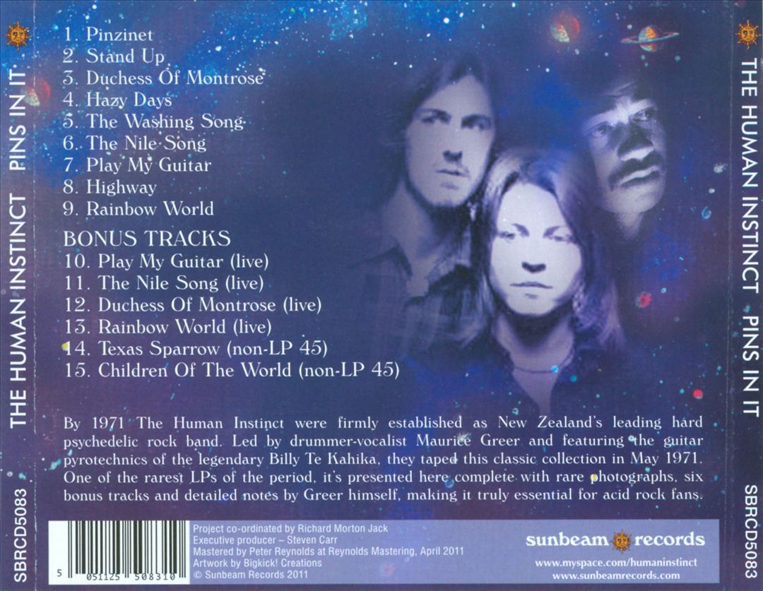 Pins in It cover art