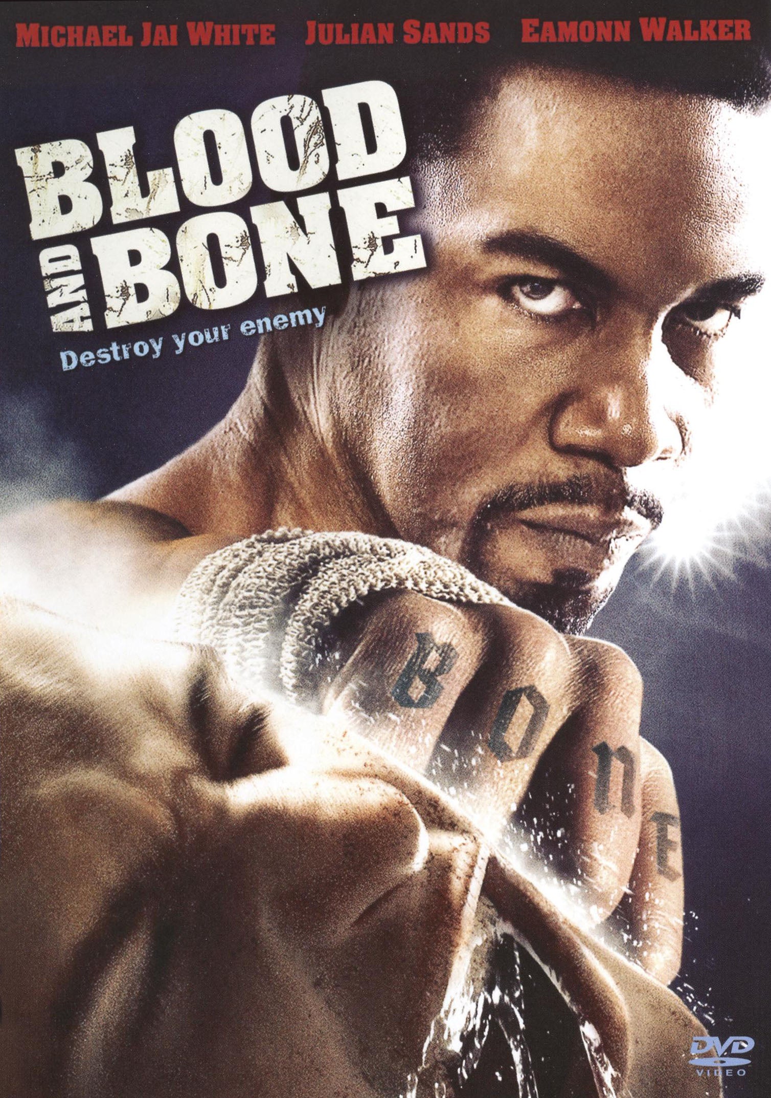 Blood and Bone cover art