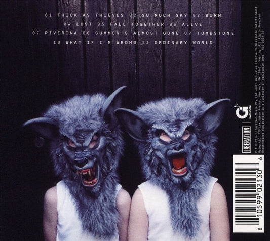 Thick as Thieves cover art