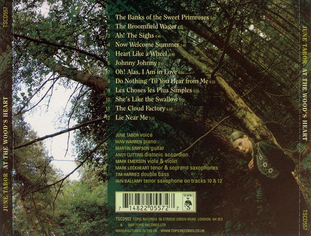 At the Wood's Heart cover art