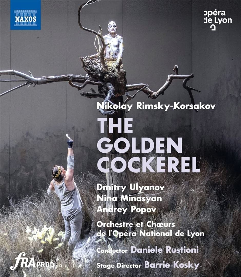 Nikolay Rimsky-Korsakov: The Golden Cockerel [Video] cover art