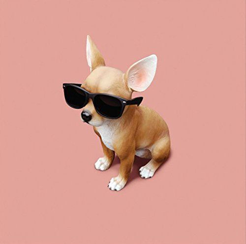 Lo Tom [LP] cover art
