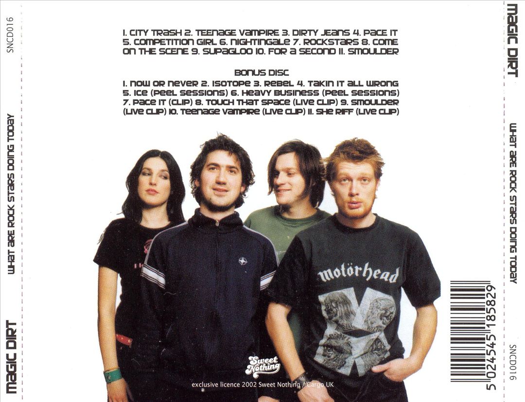 What Are Rock Stars Doing Today cover art