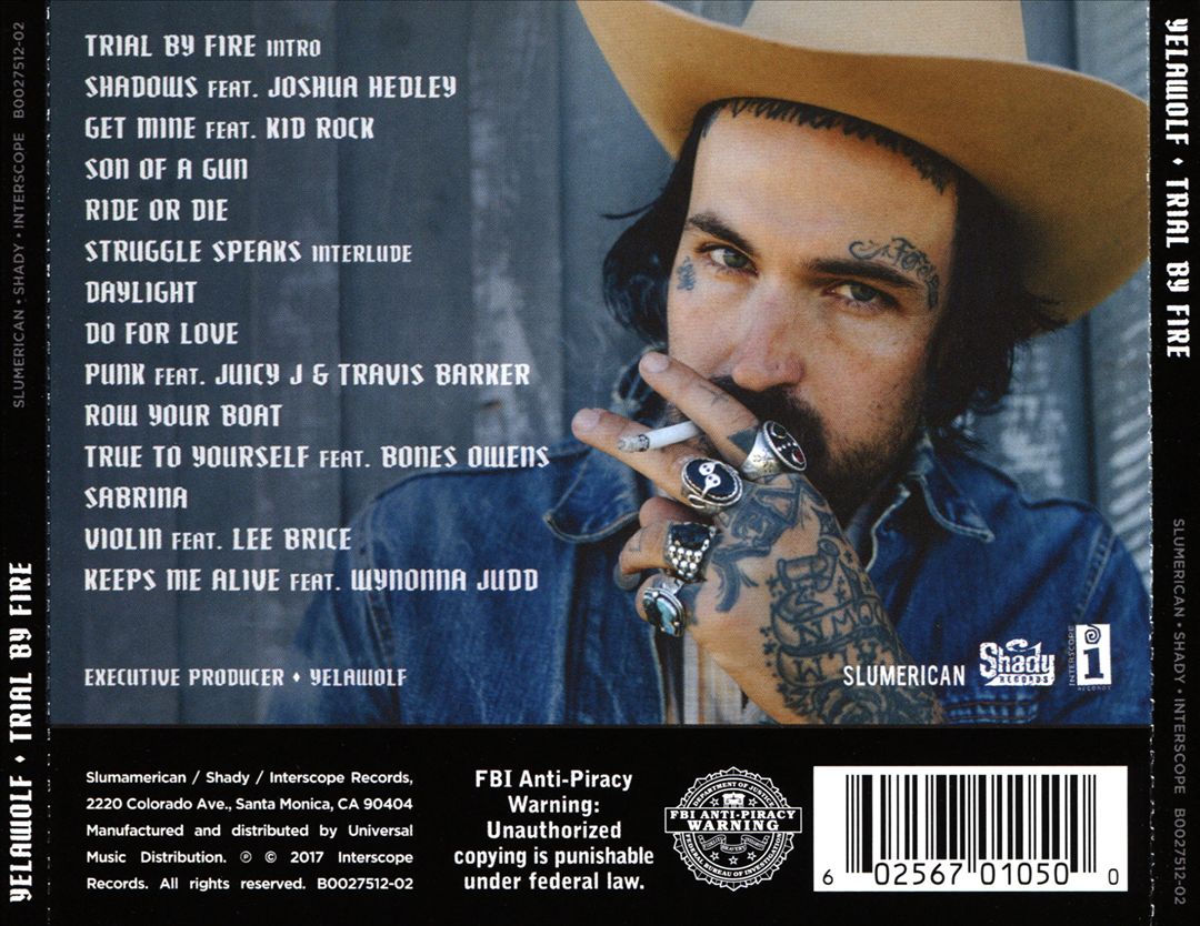 Trial by Fire cover art