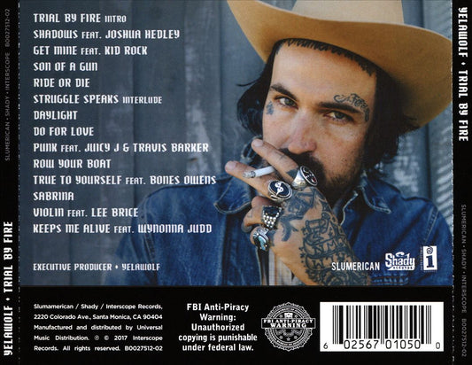 Trial by Fire cover art