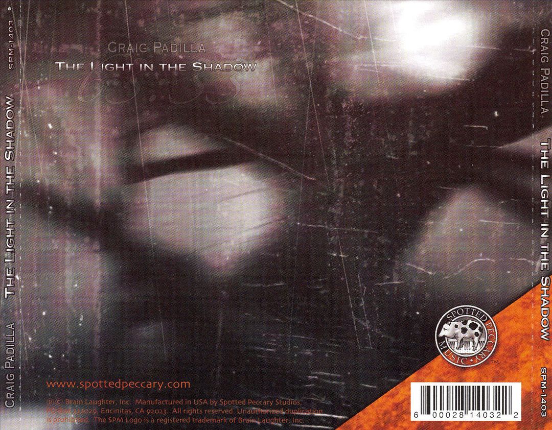 Light in the Shadow cover art
