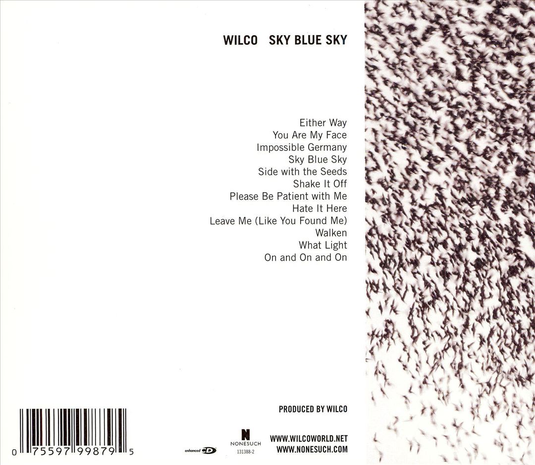 Sky Blue Sky cover art