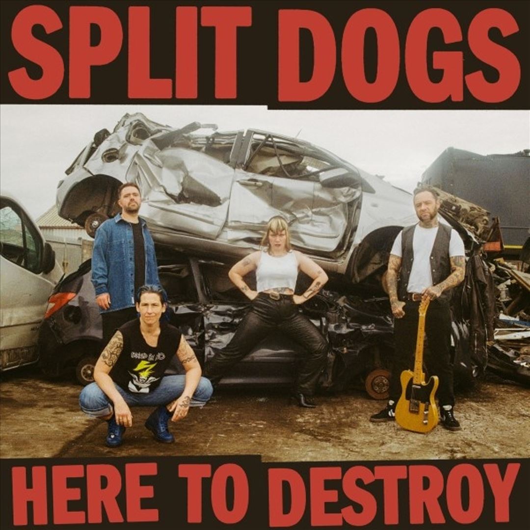 Here to Destroy cover art
