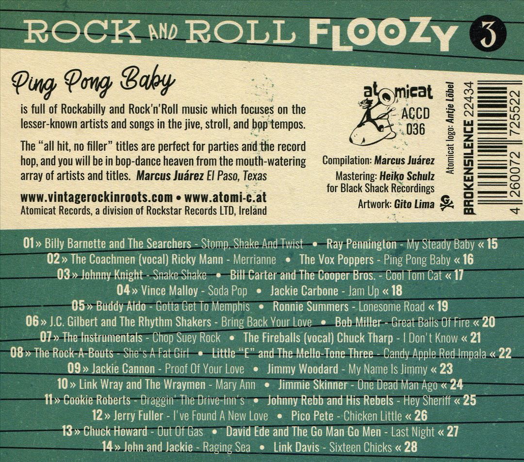 Rock 'N' Roll Floozy 3: Ping Pong Baby cover art