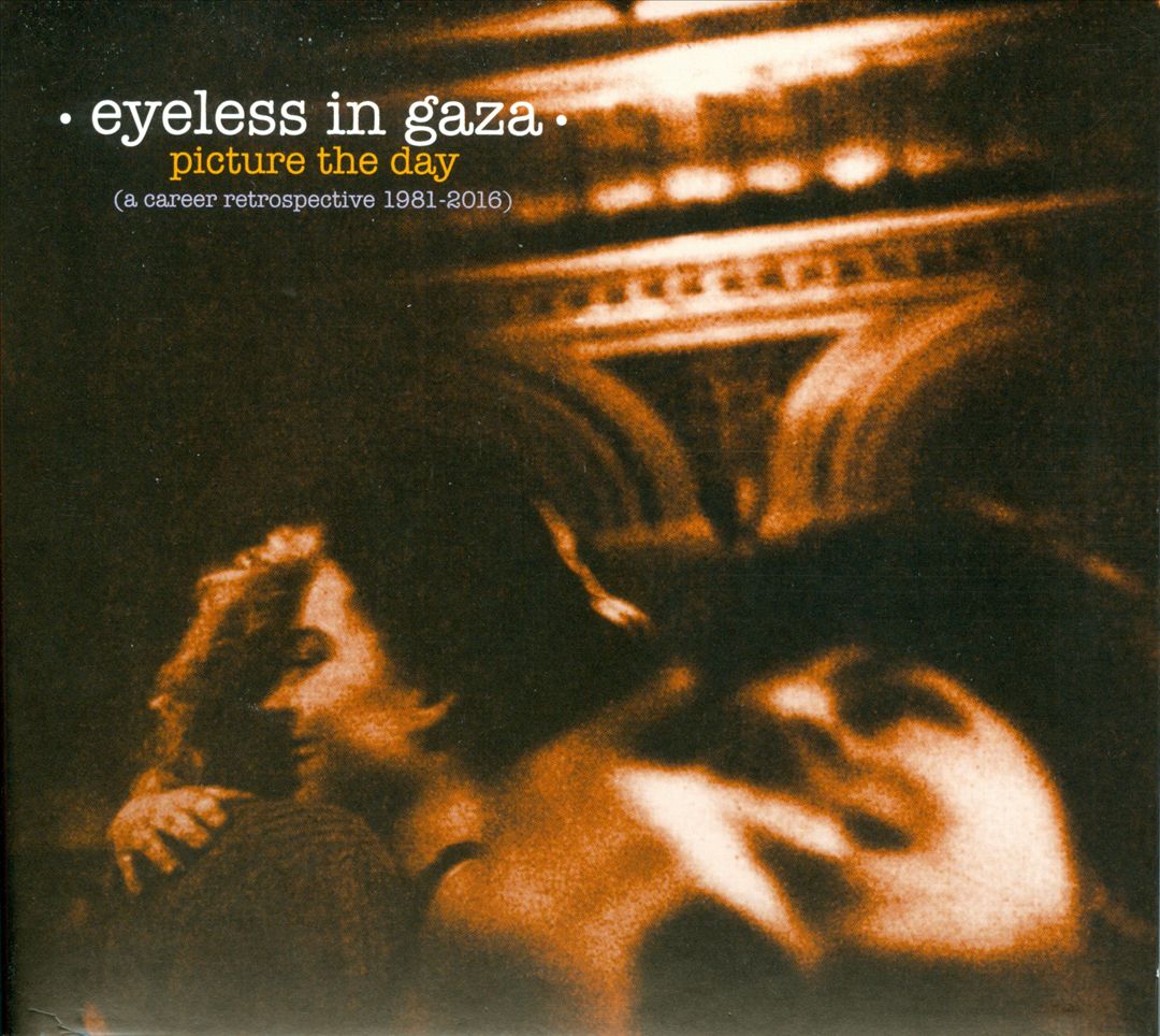 Picture the Day: A Career Retrospective 1981-2016 cover art