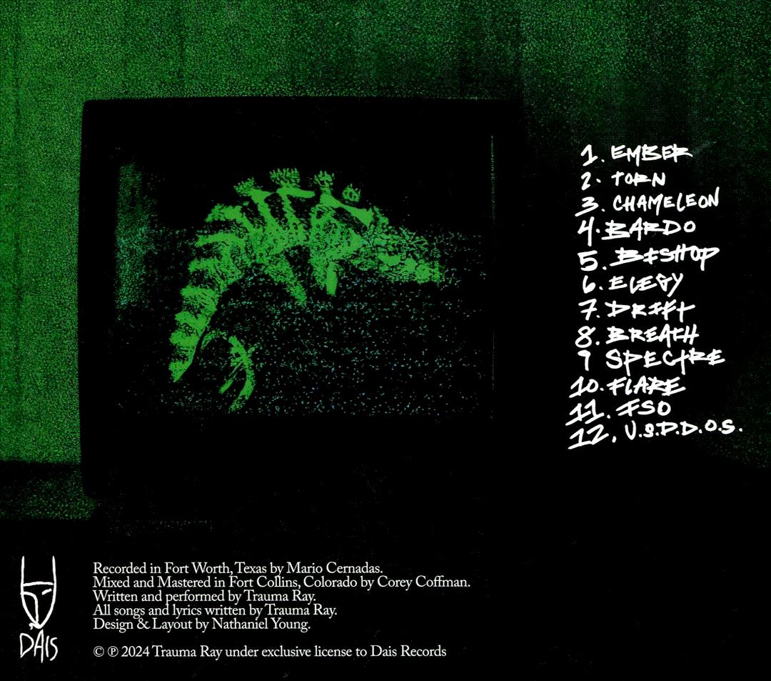 Chameleon cover art