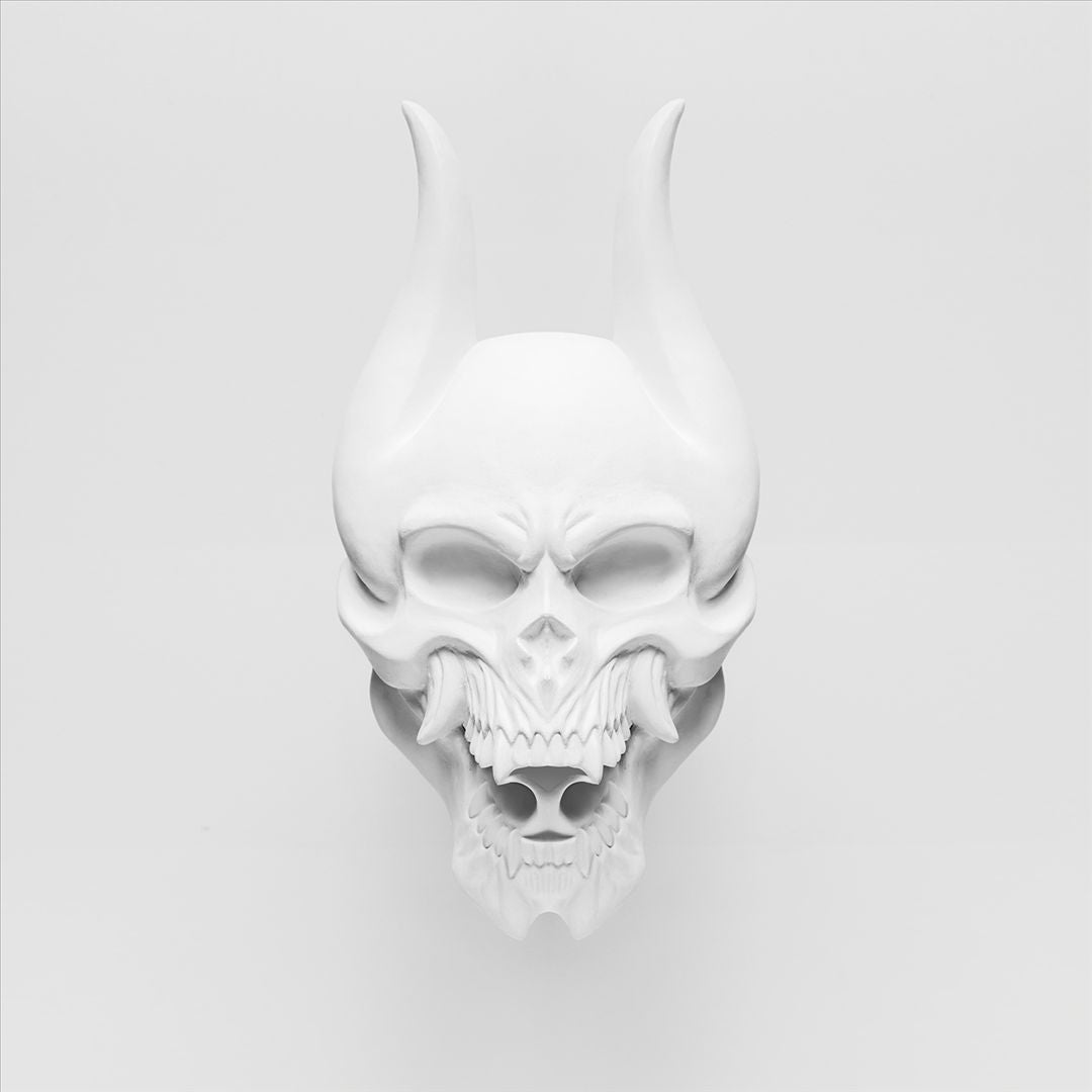 Silence in the Snow [UK Deluxe Edition] cover art