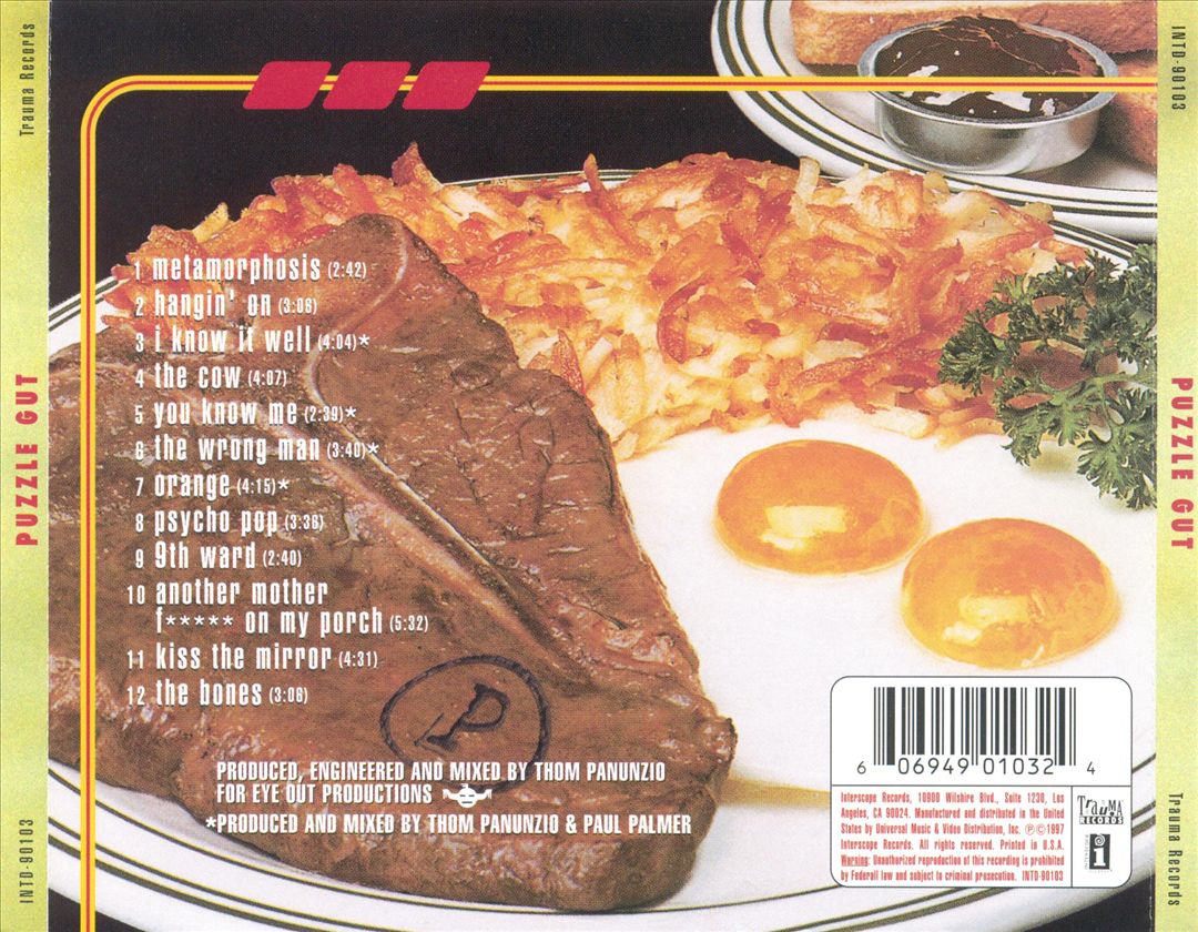 Puzzle Gut cover art