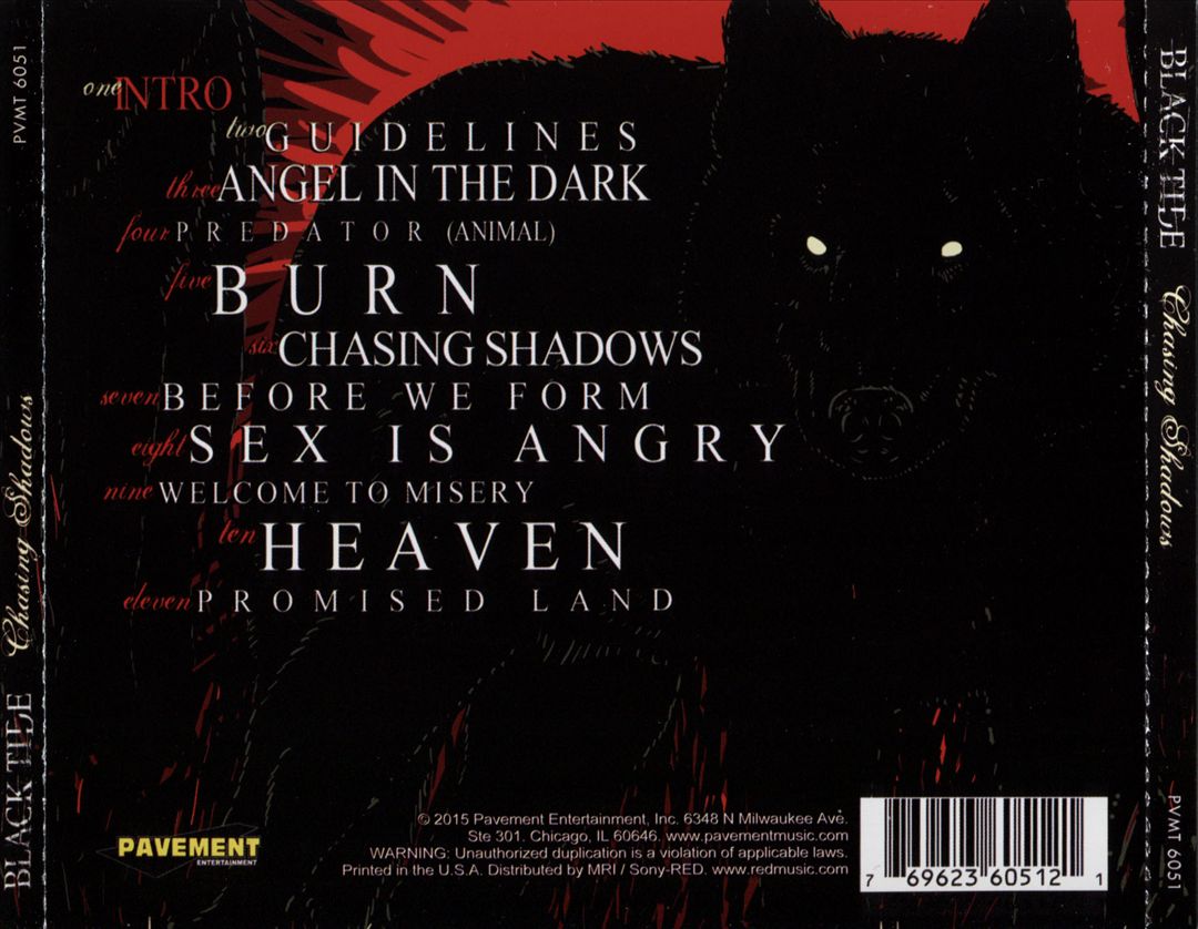 Chasing Shadows cover art