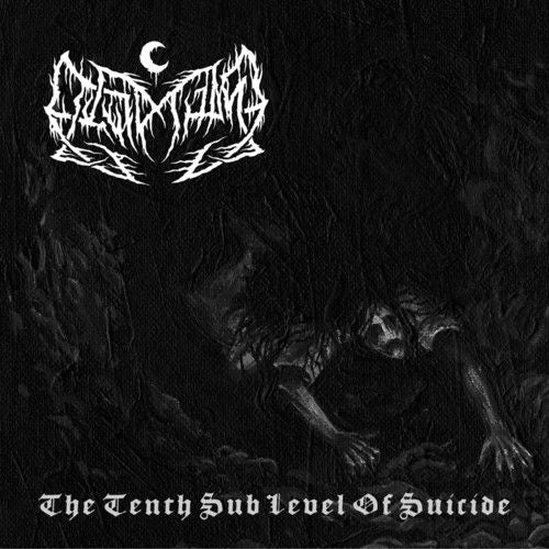 Tenth Sublevel of Suicide [LP] cover art