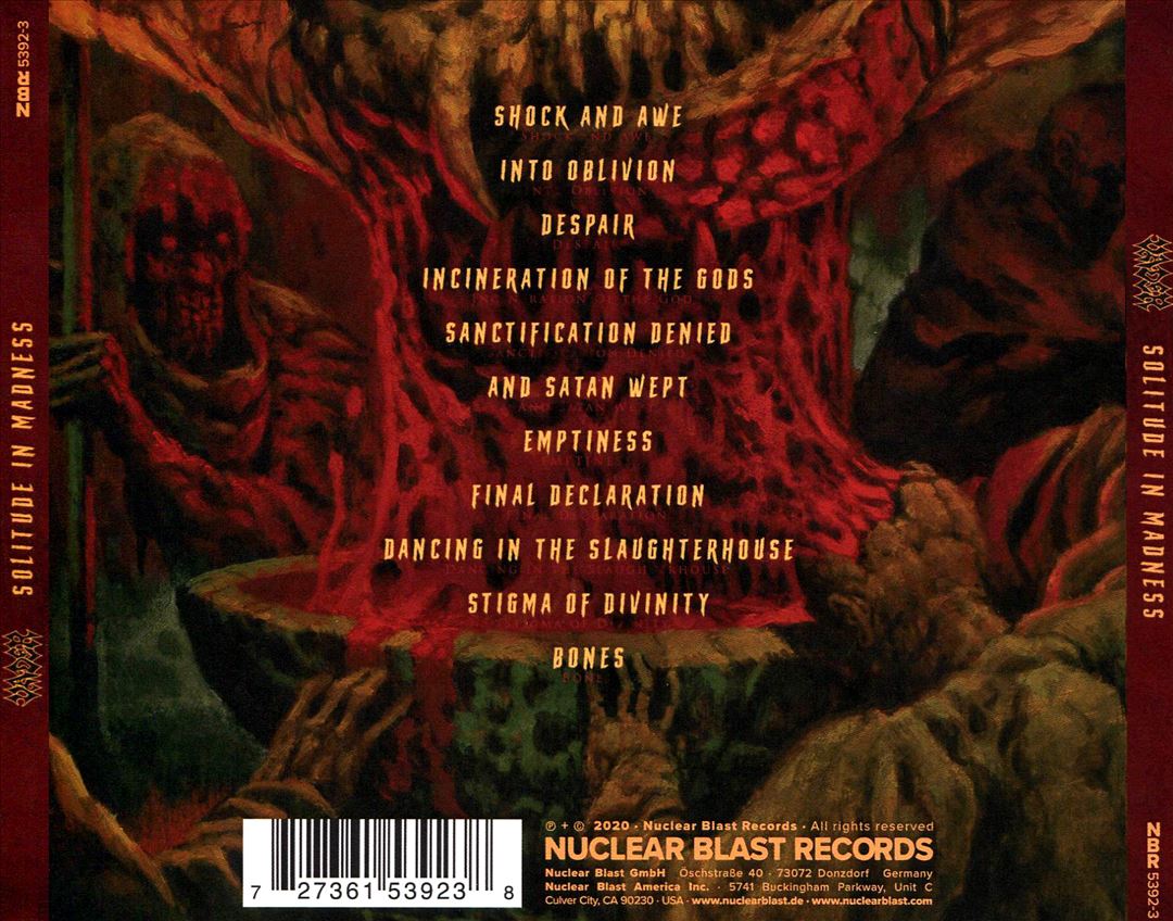Solitude in Madness cover art