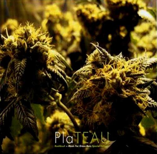 Kushbush + Music for Grass Bars [Special Edition] cover art