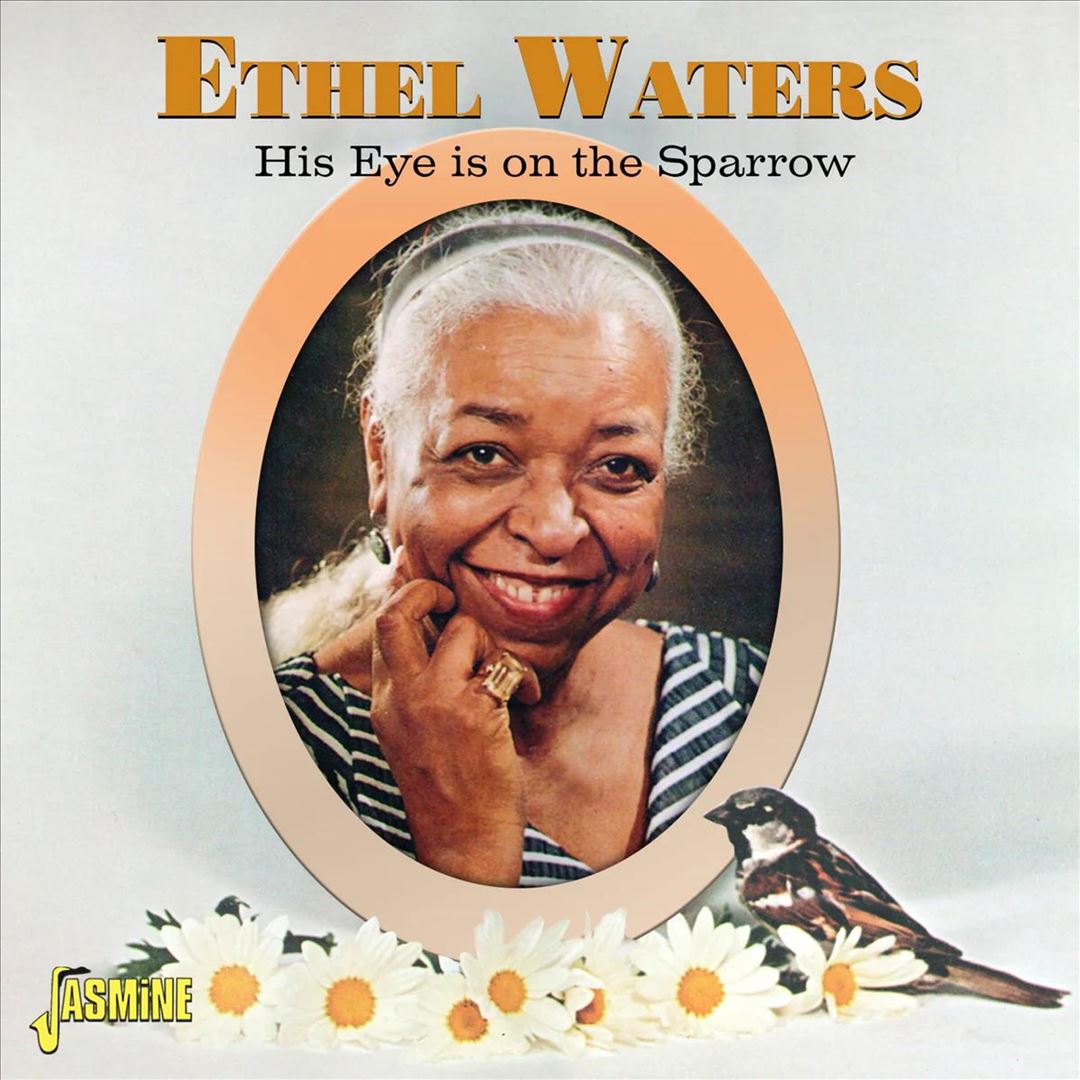 His Eye Is on the Sparrow cover art